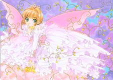 ccs-butterfly.jpg